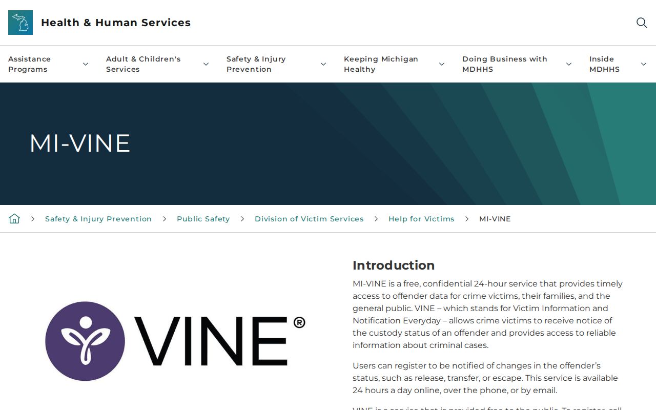 Michigan VINE overview used for Emmet County same-day custody checks